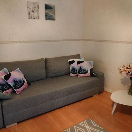 Spacious Apartment With Balcony And Free Wifi โรวานิเอมิ ภายนอก รูปภาพ